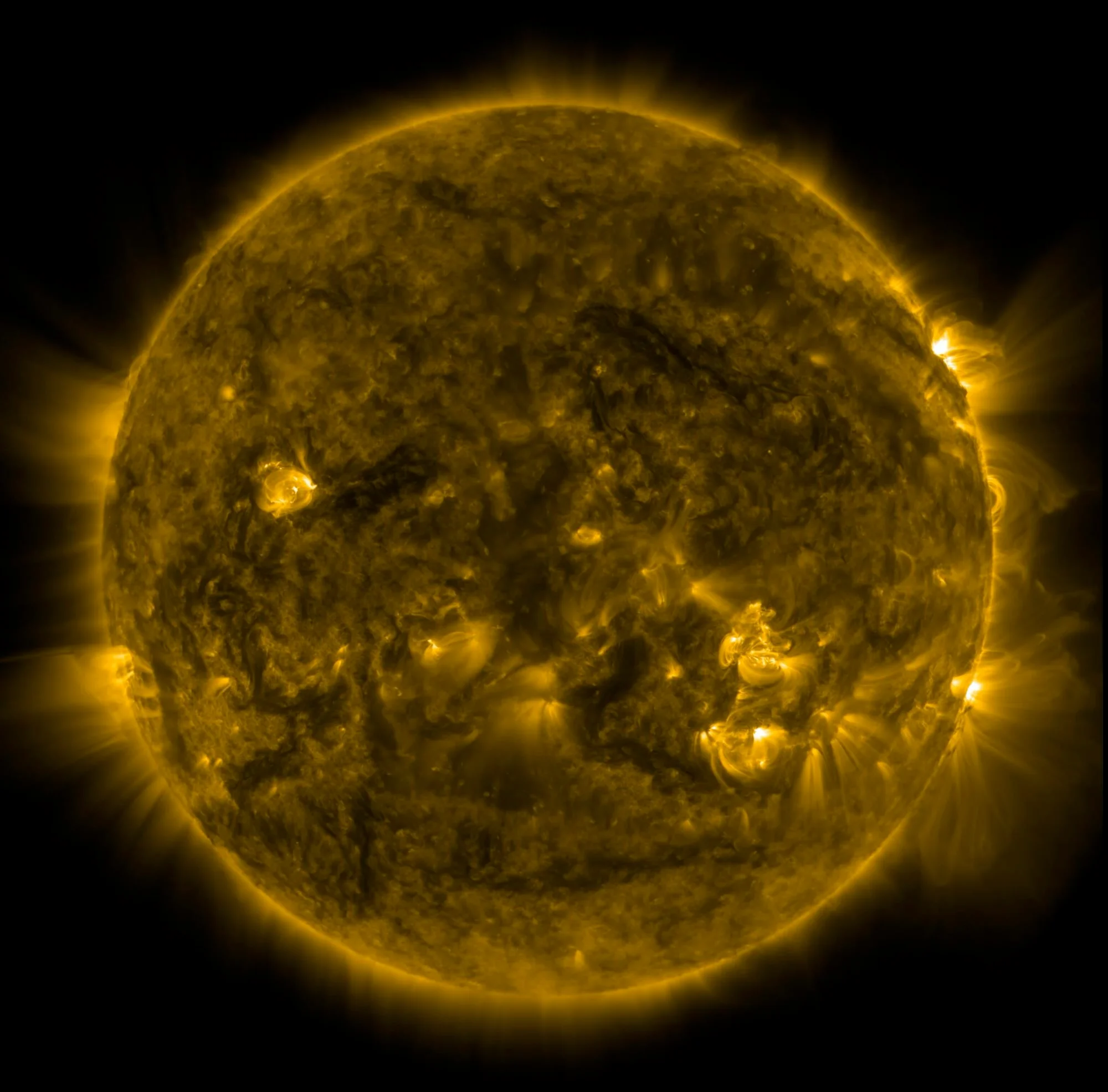 Detailed view of the Sun showing solar flares and plasma loops